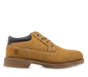 Men's Basic Oxford